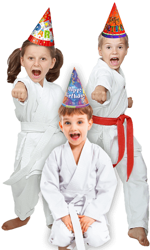 Martial Arts Birthday Party for Kids in Chino Hills CA - Birthday Punches Page Banner